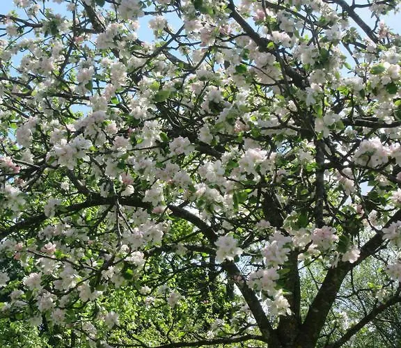 Le Clos Lauradiere Guest house Cormeilles (Eure)